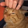 Snarzy's profile picture
