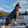 Profilbild von Bob