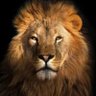 Faria Mughal's profile picture
