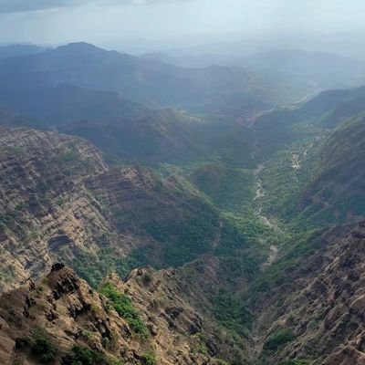 shetakriraja288's profile picture