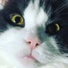 いまさん: I love Tully’s profil fotoğrafı
