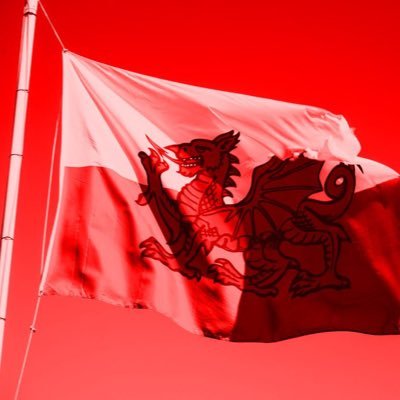 LGB Alliance Cymru's profile picture