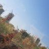 حيدر البابلي 的头像