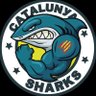 Catalunya Sharks's profile picture