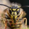 Фото профиля JimTrvlguy