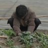 陈青野's profile picture