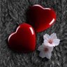 Profilbild von ورد وشوك