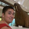 Jacob Haze (Horse)'s profile picture