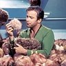 Tribble's profile picture