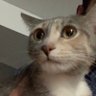 layla 🧸 profil fotoğrafı
