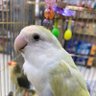 躺著色色 profil fotoğrafı