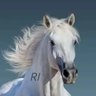 Profilbild von lilymay