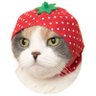a ♡ profil fotoğrafı