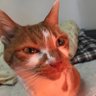 もんちゅ〜's profile picture