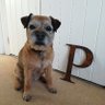 Profilbild von Dr Dame Pebble CBE