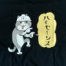 猫側にゃ🐾💕's profile picture