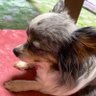 Фото профиля そらまめ🎸🐶
