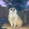 ヒッパムッパユキト's profile picture