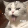 niuao (꧁IP꧂) 的头像