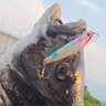 Profilbild von わかば