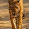 Фото профиля Tim Clark