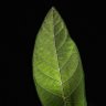 Фото профиля ColleNC