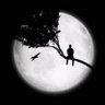 Samir Abd Almajeed's profile picture