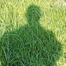 gori's profile picture