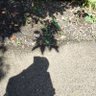 Profilbild von aerind
