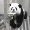 Dani 的头像