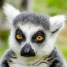Rachel Bosenterfer profil fotoğrafı
