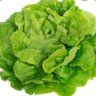 Profilbild von Antisalade