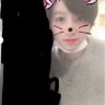Aki's profile picture