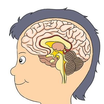 OTAKMU KECIL's profile picture