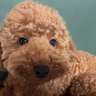 ポルタ profil fotoğrafı