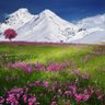 arshad munir khan 的头像