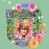 Michelle Thomasson 🌻🕊's profile picture