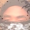 Bento's profile picture
