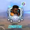 Combat Owl#2425 的头像