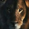 M.r.mahdavi's profile picture