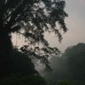 Suraryo profil fotoğrafı