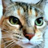 Mrs. Jo 'Ultra' Jones profil fotoğrafı
