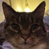 Pjam's profile picture