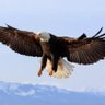 Mondher66's profile picture