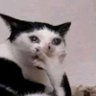 Profilbild von Aigel