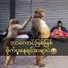 ဝေဟင် 🏳️‍🌈 🏳️‍🌈 🏳️‍🌈 profil fotoğrafı