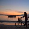 Tirta_Sari's profile picture
