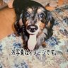 Фото профиля たかべー