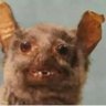 Profilbild von malandra47