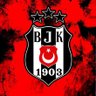 Profilbild von Beşiktaş Sevdalısı